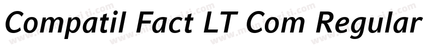 Compatil Fact LT Com Regular Small字体转换